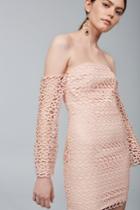 Keepsake Countdown Lace Mini Dress Blush