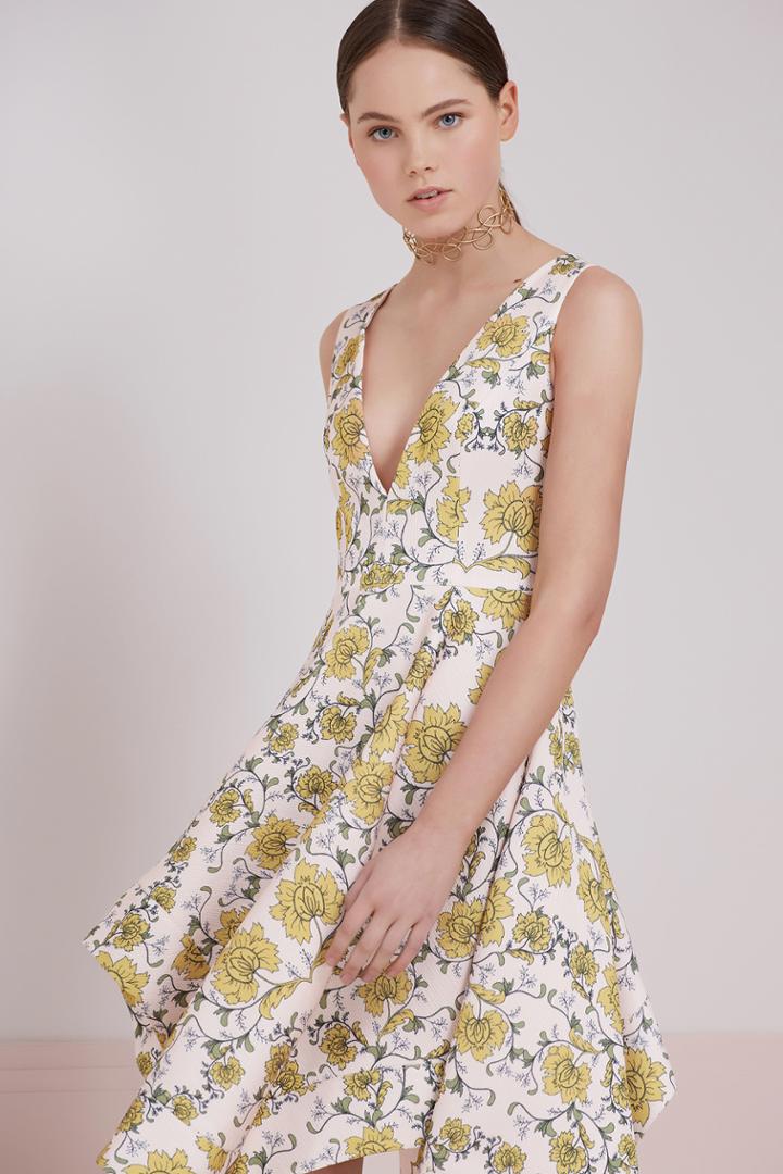 Keepsake Begin Again Dress Paisley Floral Light