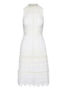 Banana Republic Womens Petite Paneled Lace Dress White Size 8