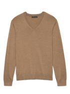 Banana Republic Mens Extra-fine Italian Merino Wool V-neck Sweater Whiskey Size S