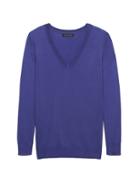 Banana Republic Womens Machine-washable Merino V-neck Sweater Purple Victory Size S