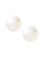 Banana Republic Womens Freshwater Pearl Stud Earring White Size One Size