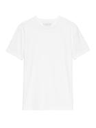 Banana Republic Authentic Supima Cotton Crew-neck T-shirt