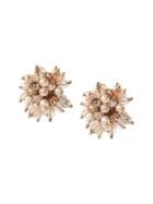 Banana Republic Womens Blush Beaded Cluster Statement Stud Earring Pink Blush Size One Size