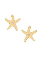 Banana Republic Womens Starfish Stud Earring Gold Size One Size