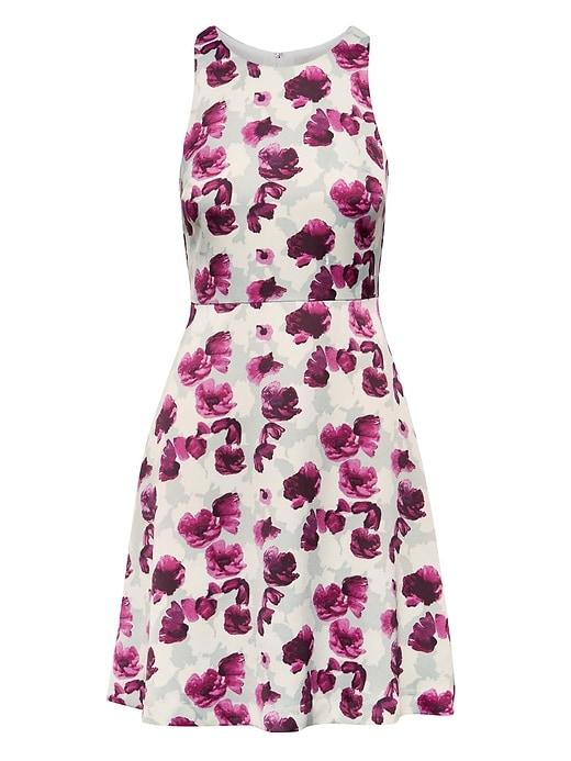 Banana Republic Womens Floral Fit-and-flare Dress Purple Poppy Size 4