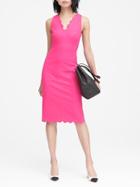 Banana Republic Womens Scalloped Bi-stretch Sheath Dress Hot Bright Pink Size 12