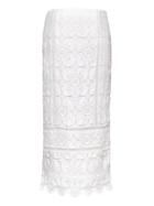 Banana Republic Womens Petite Lace Midi Pencil Skirt White Size 10