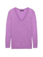 Banana Republic Womens Machine-washable Merino V-neck Sweater Bright Magenta Size M