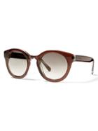 Banana Republic Womens Satya Sunglasses Size One Size - Brown