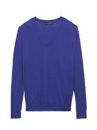 Banana Republic Womens Petite Silk Cotton Boyfriend V-neck Sweater Blue Violet Size Xs