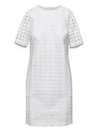 Banana Republic Womens Petite Lace Shift Dress White Size 2