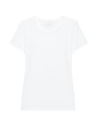 Banana Republic Womens Stretch Cotton-modal Fitted Crew-neck T-shirt White Size L
