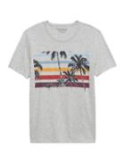Banana Republic Palm Tree Stripe Graphic T-shirt