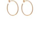 Sara Weinstock Women's Veena Hoop Earrings-gold