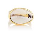 Tohum Design Women's Puka Shell Pinkie Ring-gold