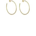 Tate Women's Yellow Gold Hoop Earrings-gold