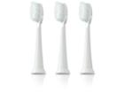 Tao Clean Women's Aura Clean Toothbrush Replacement Head (3-pack)