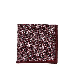 Lanvin Men's Abstract-print Silk Twill Pocket Square - Red
