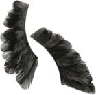 Beauty Is Life Women's Feather Lashes