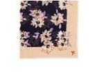 Isaia Men's Floral-print Cotton-silk Pocket Square
