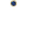 Tate Women's Blue Sapphire Stud Earring-blue