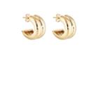 Agmes Women's Giulia Hoop Earrings - Gold