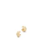 Agmes Women's Celia Small Hoop Earrings - Gold