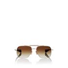 Dita Men's Flight.007 Sunglasses-brown