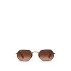 Ray-ban Men's Rb3556n Sunglasses - Brown