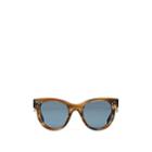 Celine Women's Cl4003in Sunglasses - Brown