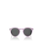 Illesteva Women's Leonard Ii Sunglasses-lilac