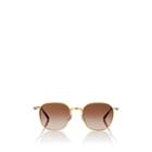 Oliver Peoples The Row Women's Board Meeting 2 Sunglasses-gold