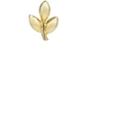 Finn Women's Leaf Stud Earring-gold