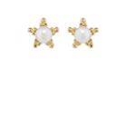 Lodagold Women's Pearl Star Stud Earrings - Pearl