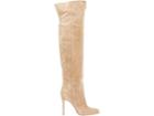 Gianvito Rossi Women's Suede Over-the-knee Boots