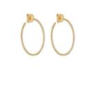 Sara Weinstock Women's Veena Hoop Earrings - Gold