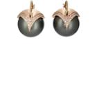 Samira 13 Women's Flying Tahitian Pearl Earrings - Black