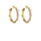 Sylvia Toledano Women's Petite Candy Hoop Earrings - Gold