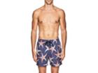 Vilebrequin Men's Mahina Starfish-print Swim Trunks