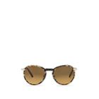 Garrett Leight Women's Horizon Sunglasses - Brown