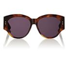 Dior Women's Ladydiorstuds2 Sunglasses-brown