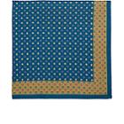 Bigi Men's Paisley Silk Pocket Square-blue