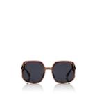 Dior Women's Diornuance Sunglasses-brown