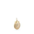 Charmed & Chained Women's Clamshell Pendant - Gold