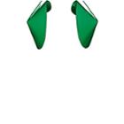 Gaviria Women's Fortune Cookie Earrings-green