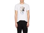 Alexander Mcqueen Men's Skull-print Cotton Short-sleeve T-shirt