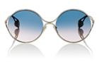 Gucci Women's Gg0253s Sunglasses