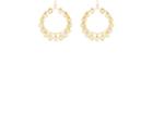 Mounser Women's Half Shell Hoop Earrings