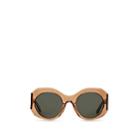 Finlay & Co. Women's Daphne Sunglasses - Butterscotch